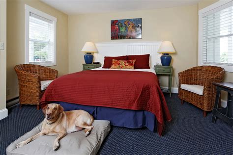 motels near me pet friendly|motels that allow dogs free.